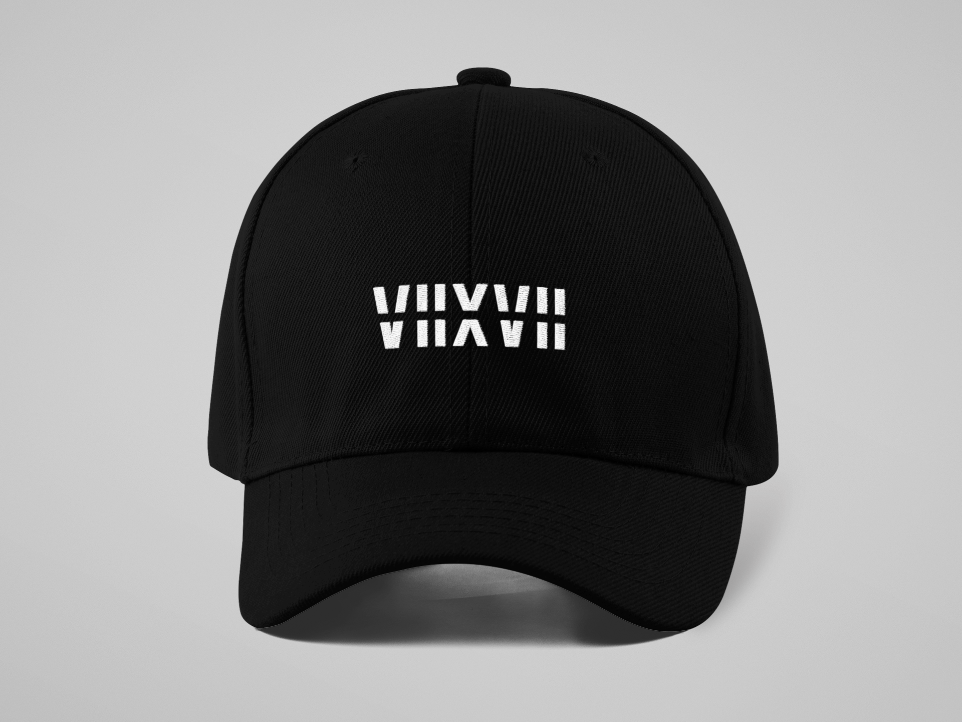 Veevinci Logo Hat